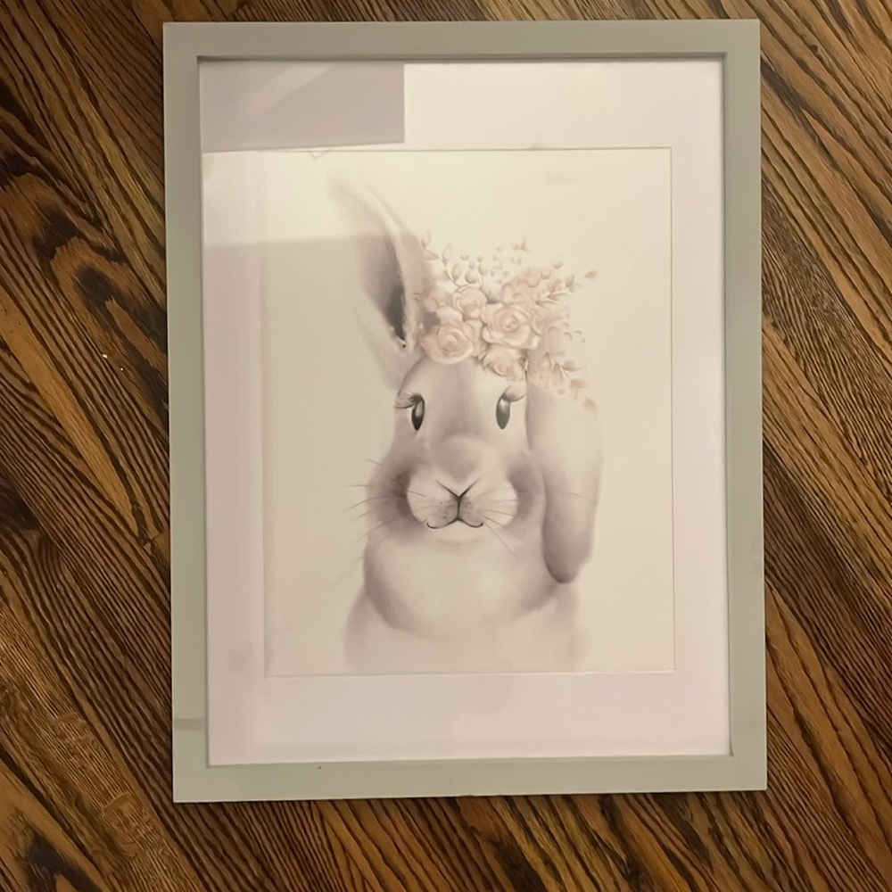 Large bunny rabbit picture